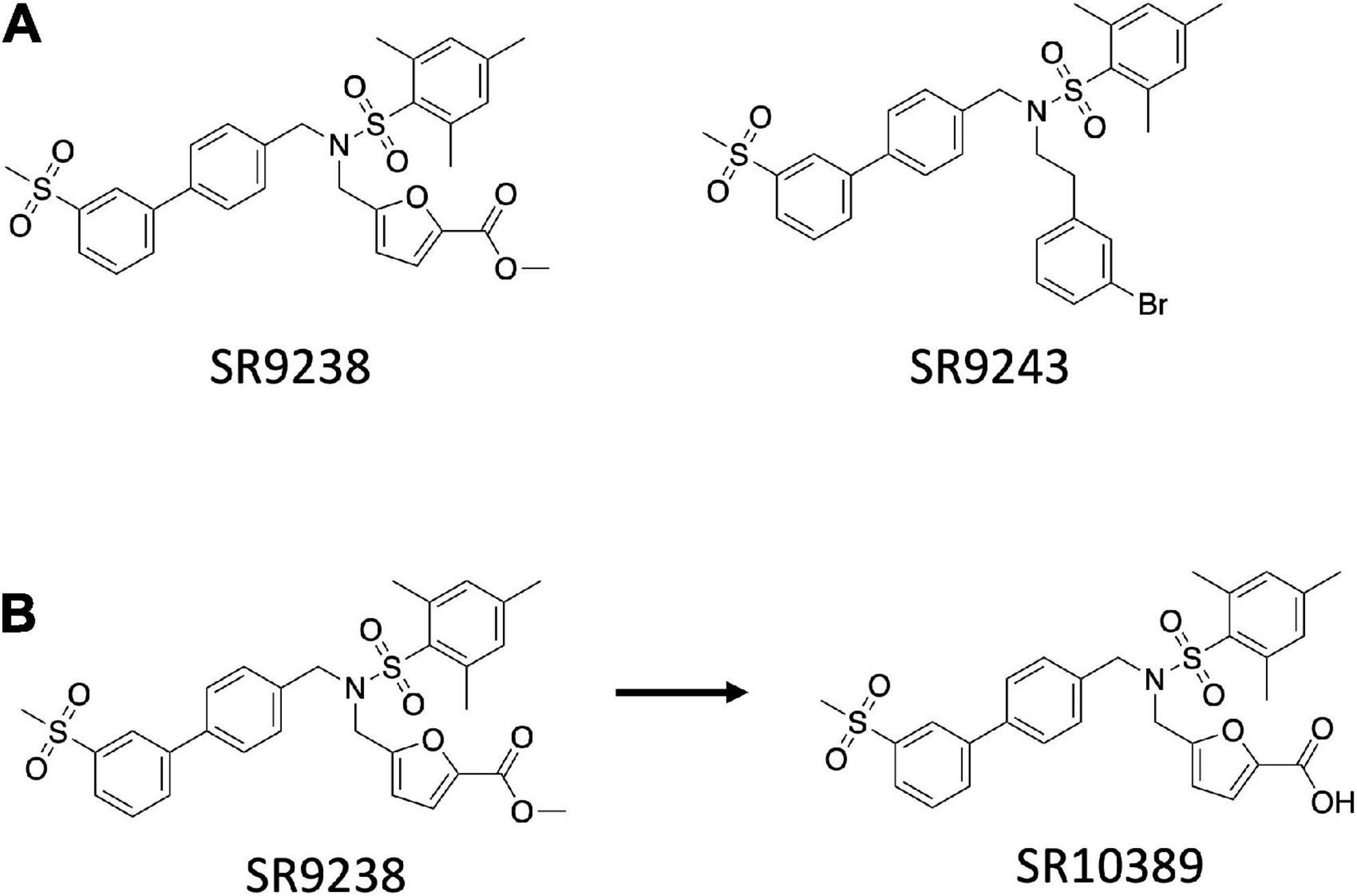 Development of LXR inverse agonists to treat MAFLD, NASH, and other metabolic diseases